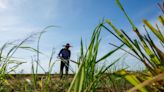 Malaysia Braces for Worst as Heat Wave to Run Through Mid-April