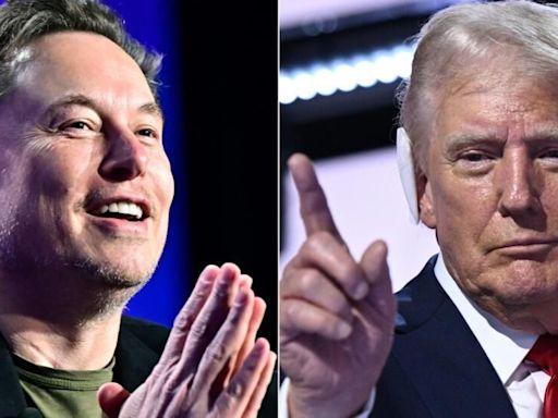 Elon Musk to deliver 'drastic' cuts to Donald Trump government