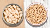 Canned Navy Vs Cannellini Beans: How Do They Differ?
