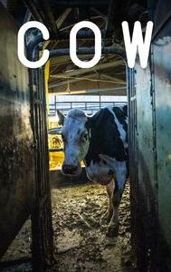 Cow (2021 film)