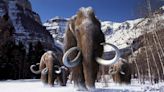 Manual para 'resucitar' a un mamut: ¿es científica y moralmente aceptable traer de vuelta especies desaparecidas?