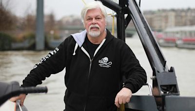 Le pirate écologiste Paul Watson arrêté au Groenland: quatre questions pour comprendre