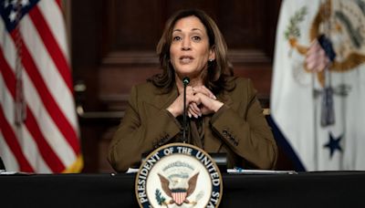 Kamala Harris faces racial 'DEI' attacks amid campaign for the 2024 presidency