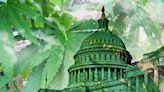 Marijuana banking makes it into House appropriations bill markup (OTCQX:GTBIF)