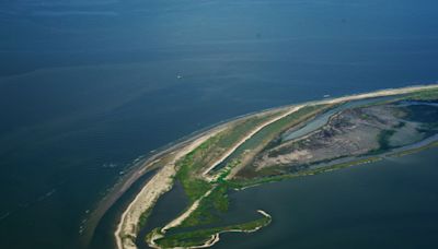 ‘Dead zone’ in the Gulf of Mexico predicted to be bigger than average this summer