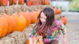 2022 Fayetteville fall guide: Haunted houses, pumpkin patches, hayrides and corn mazes
