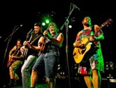 Hayseed Dixie