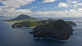 "Everybody sprang into action" – search and rescue team swarmed by bees during volcano rescue