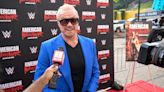 WWE Hall Of Famer Rob Van Dam Gets Candid About Diamond Dallas Page - Wrestling Inc.