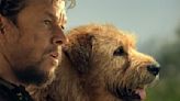 Box office preview: Mark Wahlberg’s dog movie ‘Arthur the King’ races into theaters