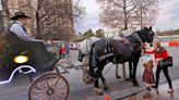 Dallas City Hall continues to discuss banning horse-drawn carriages