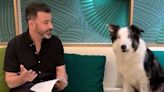 Watch Jimmy Kimmel Rehearse 2024 Oscars Jokes with Dog from “Anatomy of a Fall”: 'We Got a Winner'