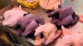 快訊／北市抽驗肉蛋品「7件不合格」！ 烏骨雞、雞胗動物用藥超標