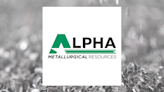 Alpha Metallurgical Resources (NYSE:AMR) Trading Down 4.6%