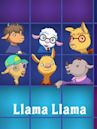 Llama Llama