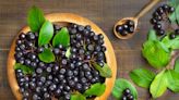 Solabia’s Brainberry enhances peak cognitive performance in young adults: Study