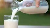 Dairy firm Milk Mantra's FY24 revenue marginally rises - ET BrandEquity