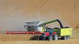 American farmers' next hot commodity is canola for biofuels