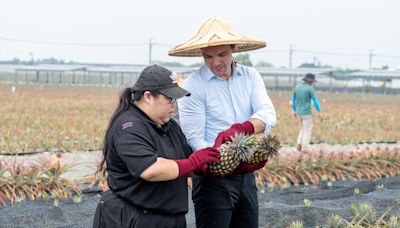 達美樂外帶大披薩只要 199 元！「金鑽夏威夷披薩」升級開賣 加入 LINE 好友天天抽免費吃披薩 | 蕃新聞