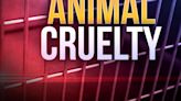 Officials: 67 animals rescued during animal neglect investigation