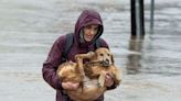 Cork County Council establishes new SPC for coastal, marine, and flood policy issues