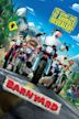 Barnyard (film)