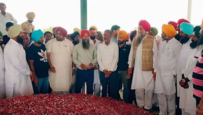 Ferozepur chilli cluster project yet to take off