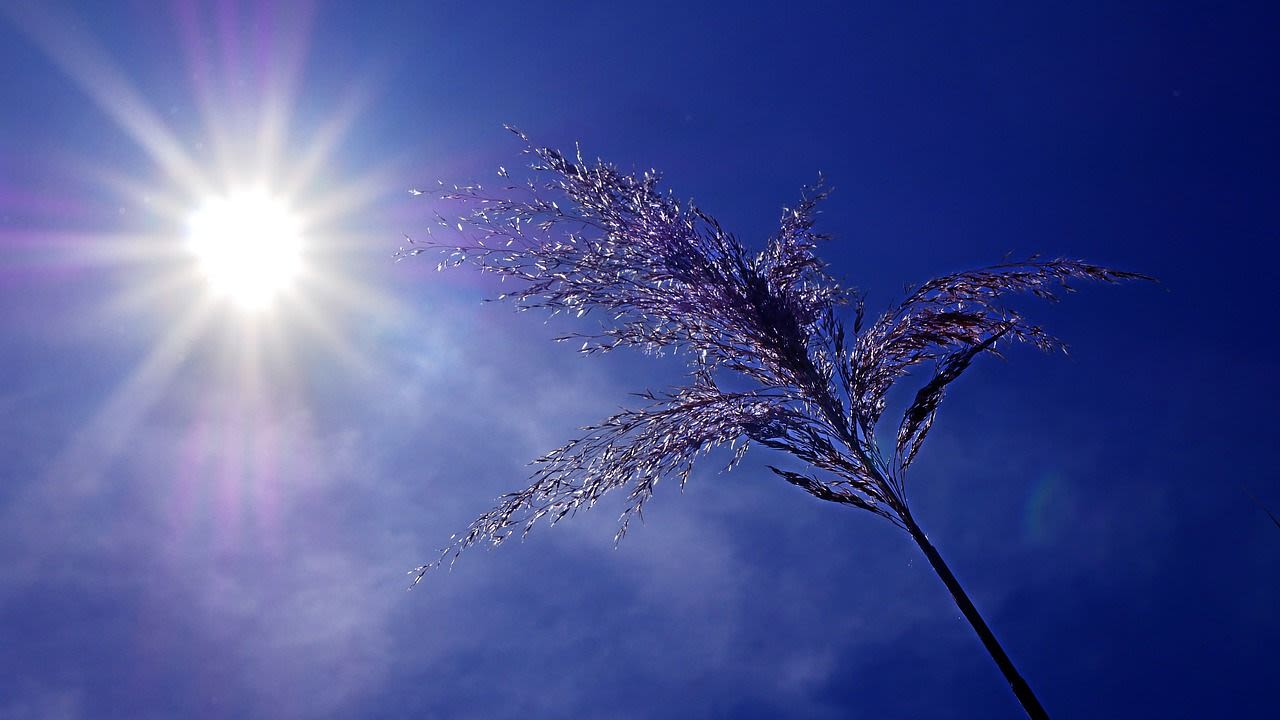 California Braces for Prolonged Heat Wave Over July 4th Weekend