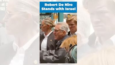 Fact Check: Robert De Niro Was Allegedly Recorded Yelling at Pro-Palestine Demonstrators. Here's the Truth