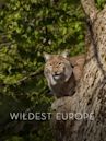 Wildest Europe