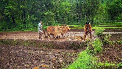 Over 80% farmers covered under PM-KISAN, but only 21% get timely credit – Read to know why