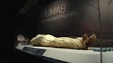 Mummies of The World exhibit now on display in Downtown Boise