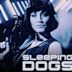 Sleeping Dogs (1997 film)