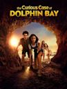 The Curious Case of Dolphin Bay