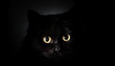 It's Friday the 13th. Here's why some people still believe in superstitions.