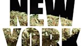 Cannabis Saga In The Empire State: Corruption Or Ineptitude? Private Equity Tramples Social Equity, Report Reveals