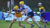 Wexford Under-21 hurling championship round-up: Quarter-final line-ups decided