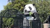 Celebran 100 años del zoológico de Chapultepec con oso panda gigante