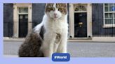 Larry, the 'Chief Mouser' of 10 Downing Street set to welcome his sixth Prime Minister