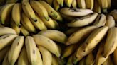 Sobre bananas, diversidade e imigração