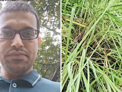 How to save 100% income tax? Karnataka man’s satirical video for salaried class is viral