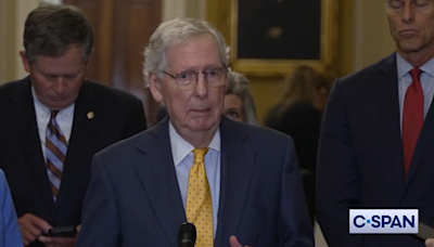 ‘Politically Beyond Stupid’: McConnell Breaks With Trump Over Government Shutdown, Urges GOP to Avoid At All Costs