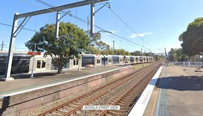 Father and daughter, 2, killed after pram carrying twins rolls into path of train in Sydney