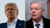 Lindsey Graham tried to fundraise for Trump on Fox News hours after the former president was indicted: 'Give the man some money so he can fight!'