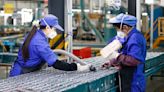 China's economy is on track for 'strong' March performance, survey says