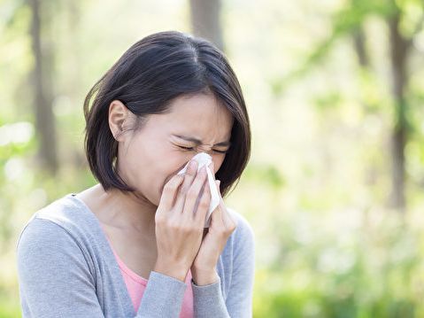 花粉季延長 緩解過敏性鼻炎 中醫教你絕招