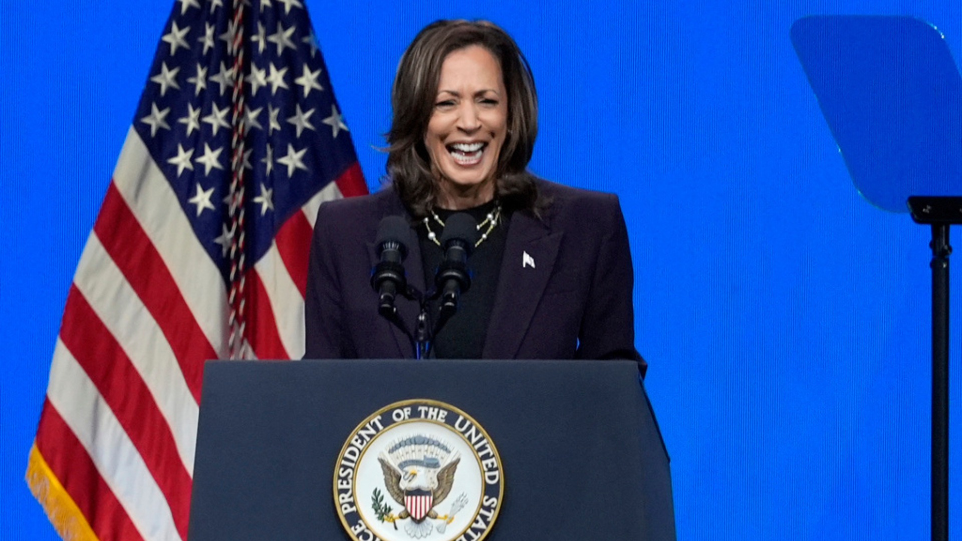 Here’s why the viral Kamala Harris 'coconut tree' meme works for winning on the internet