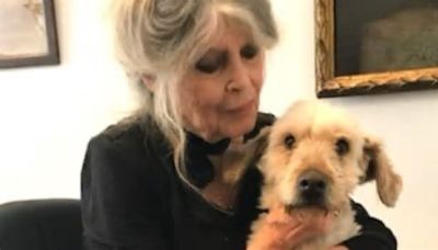 Brigitte Bardot e il ricordo del cagnolino ET: "Sono devastata"