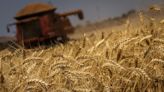 Commodities agrícolas iniciam o dia em queda em Chicago