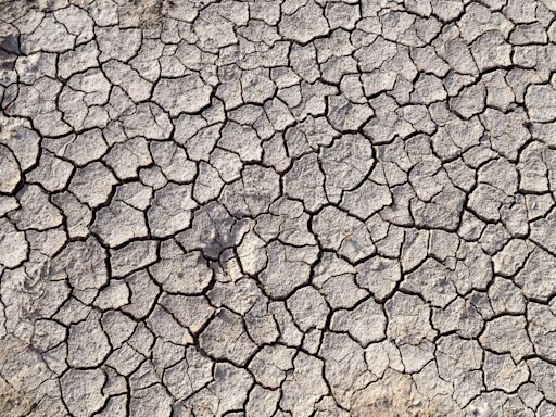 Túnez afronta una "histórica" disminución del nivel de los embalses por la sequía